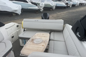 Photo 6071939 for 2024 Sea Ray SDX 250 Outboard  
