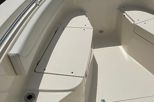2022 Cobia 262 thumbnail 36