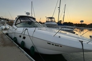 GAELIC STORM 31ft Sea Ray Yacht For Sale