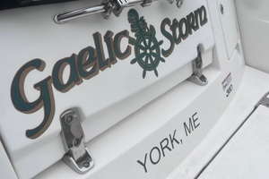 GAELIC STORM 31ft Sea Ray Yacht For Sale