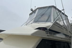 Megalodon 45ft Hatteras Yacht For Sale