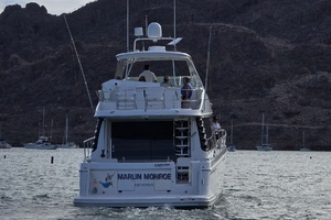 2001 Carver 570 Voyager Pilothouse thumbnail 4