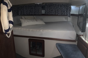 One Love 41ft Catalina Morgan Yacht For Sale