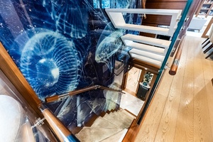 Stairs down to staterooms