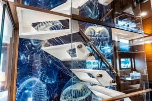 Stairway with mirrored overhead