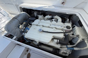 Mo Mo I 31ft Bertram Yacht For Sale