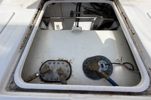 Mo Mo I 31ft Bertram Yacht For Sale