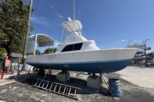 Mo Mo I 31ft Bertram Yacht For Sale
