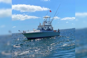 28ft Luhrs Yacht For Sale