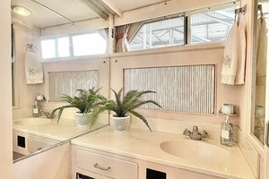 Owner's Head