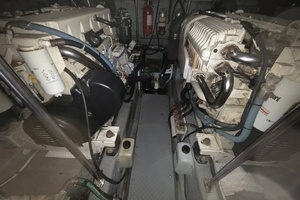 Excitable Buoy 50ft Sea Ray Yacht For Sale