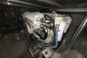 Excitable Buoy 50ft Sea Ray Yacht For Sale