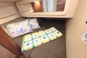 Excitable Buoy 50ft Sea Ray Yacht For Sale