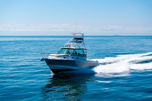 2019 Boston Whaler 345 Conquest thumbnail 4