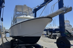 LEXI BRI 30ft Black Watch Yacht For Sale