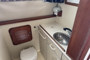 LEXI BRI 30ft Black Watch Yacht For Sale