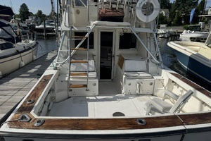 LEXI BRI 30ft Black Watch Yacht For Sale