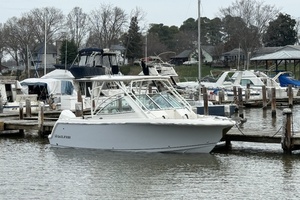 24ft Sailfish Yacht For Sale