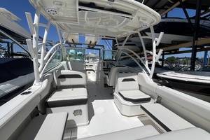 24ft Sailfish Yacht For Sale