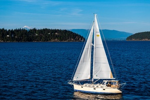 2020 Island Packet 349 thumbnail 5