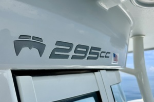 2021 World Cat 295 CC thumbnail 19