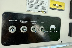 2021 World Cat 295 CC thumbnail 21