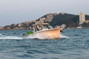 27ft Grady White Yacht For Sale