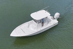 25ft Sea Hunt Yacht For Sale