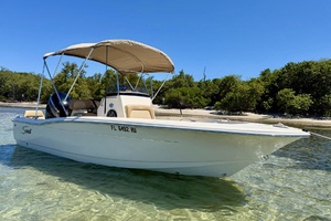 19ft Scout Yacht For Sale