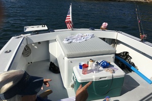 Lady Go Diver 26ft Tillotson Pearson Yacht For Sale