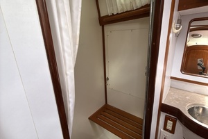 Forward Shower