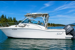 26ft Scout Yacht For Sale