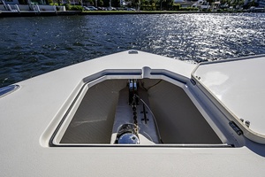 Photo 6187405 for 2021 Cobia 320 CC  