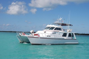 Island Hopper 49ft Custom Yacht For Sale