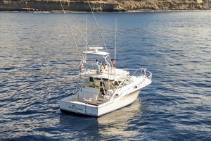 2005 Cabo 40 Hardtop Express thumbnail 5