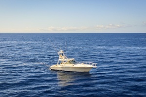 2005 Cabo 40 Hardtop Express thumbnail 10