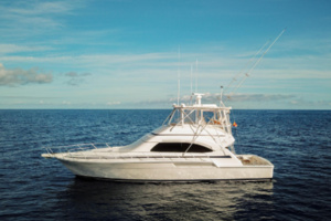 Pecado 51ft Bertram Yacht For Sale