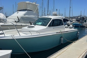 2024 Custom Blue whale 36OB thumbnail 1