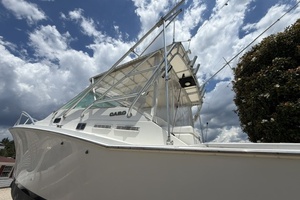 Judith A 31ft Cabo Yacht For Sale