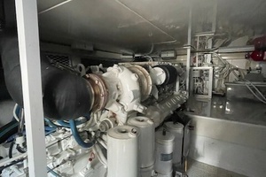 Thumbnail_IMG_7541