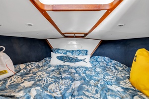 Pic s Kicks 31ft Bertram Yacht For Sale