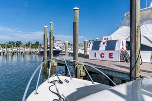 Pic s Kicks 31ft Bertram Yacht For Sale