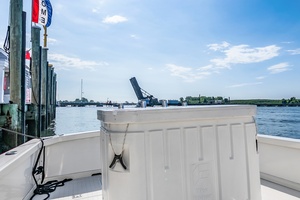Pic s Kicks 31ft Bertram Yacht For Sale