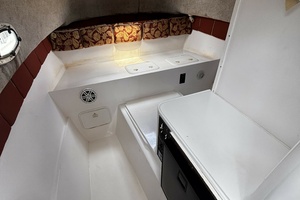 Double Trouble      29ft Pro Sports Yacht For Sale