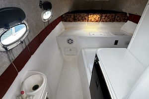 Double Trouble      29ft Pro Sports Yacht For Sale
