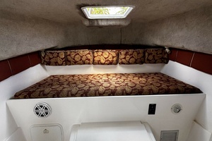 Double Trouble      29ft Pro Sports Yacht For Sale
