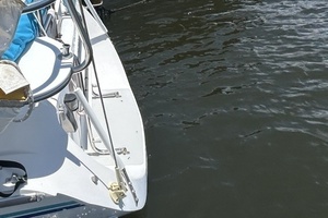 DRAGON FLY 28ft Catalina Yacht For Sale