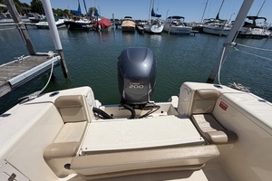 24ft Scout Yacht For Sale