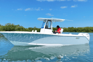 27ft Sea Hunt Yacht For Sale