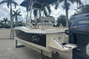19ft Scout Yacht For Sale